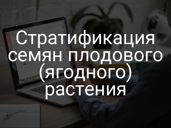 Стратификация семян плодового (ягодного) растения