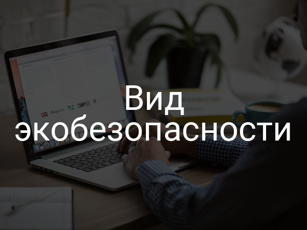 Вид экобезопасности