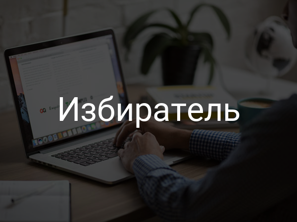 Избиратель