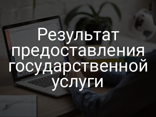 Результат предоставления государственной услуги