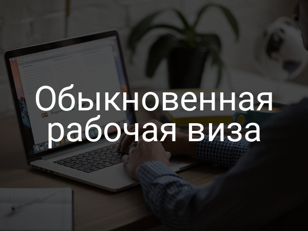 Обыкновенная рабочая виза