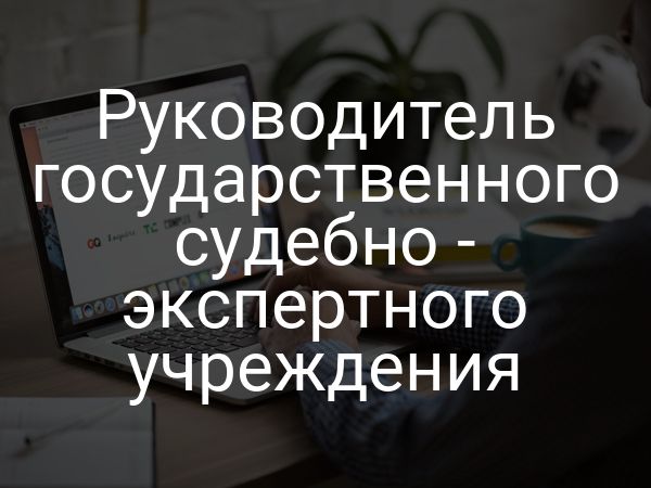 Руководитель государственного судебно - экспертного учреждения