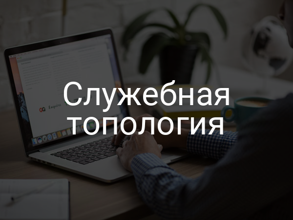 Служебная топология