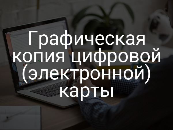 Графическая копия цифровой (электронной) карты