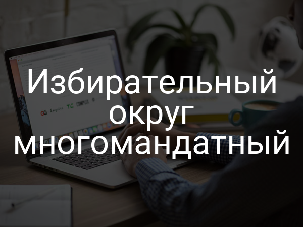 Избирательный округ многомандатный