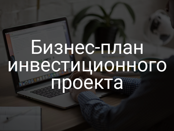 Бизнес-план инвестиционного проекта
