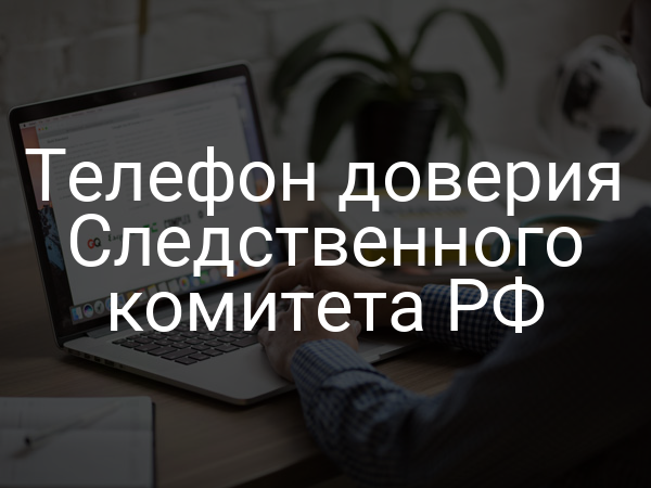 Телефон доверия Следственного комитета РФ
