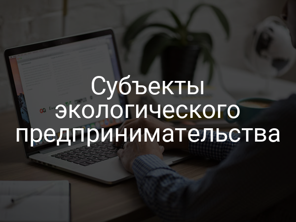 Субъекты экологического предпринимательства