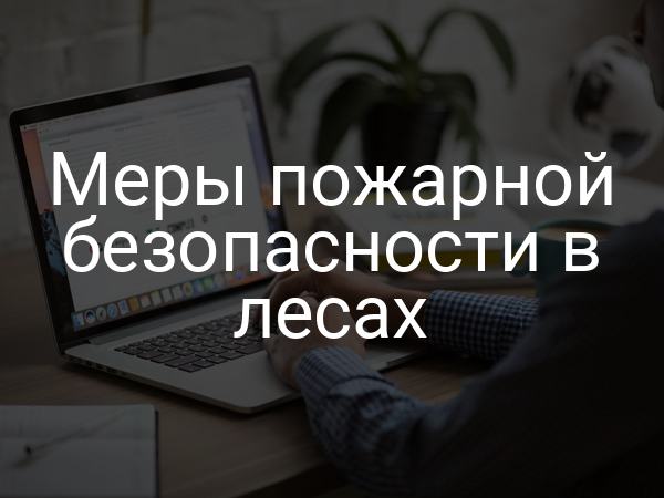 Меры пожарной безопасности в лесах