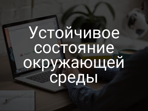 Устойчивое состояние окружающей среды