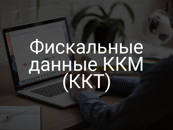 Фискальные данные ККМ (ККТ)
