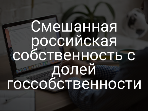 Смешанная российская собственность с долей госсобственности