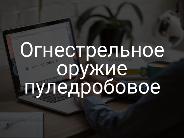 Огнестрельное оружие пуледробовое