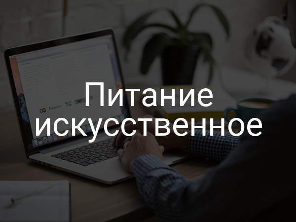 Питание искусственное