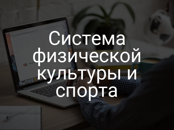 Система физической культуры и спорта