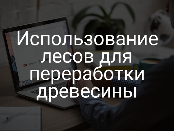 Использование лесов для переработки древесины
