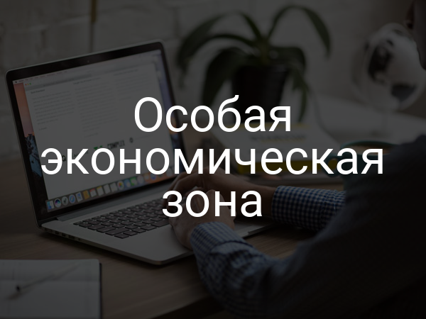 Особая экономическая зона