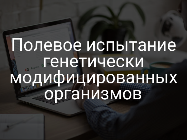 Полевое испытание генетически модифицированных организмов