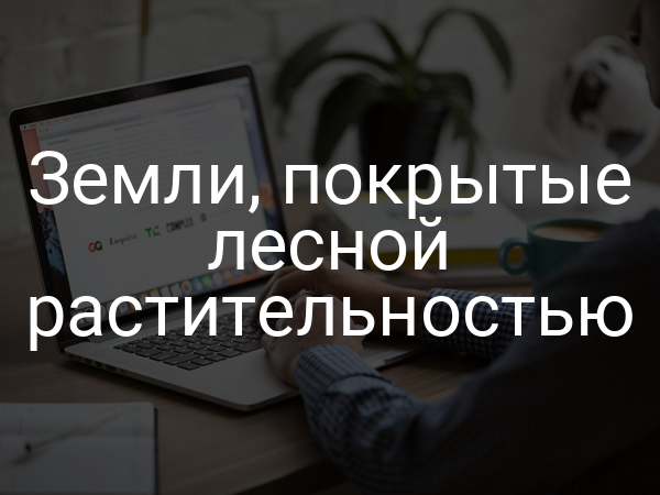 Земли, покрытые лесной растительностью
