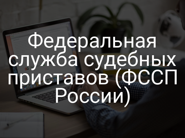 Федеральная служба судебных приставов (ФССП России)