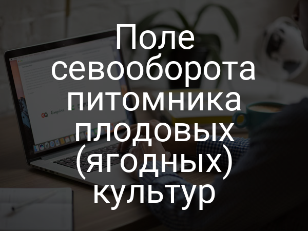 Поле севооборота питомника плодовых (ягодных) культур