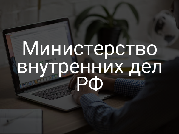 Министерство внутренних дел РФ