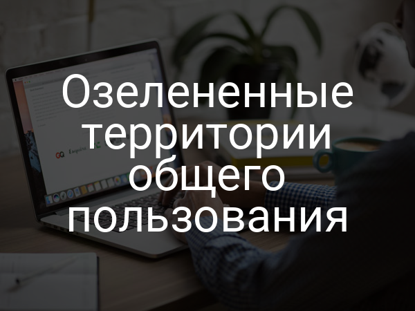 Озелененные территории общего пользования