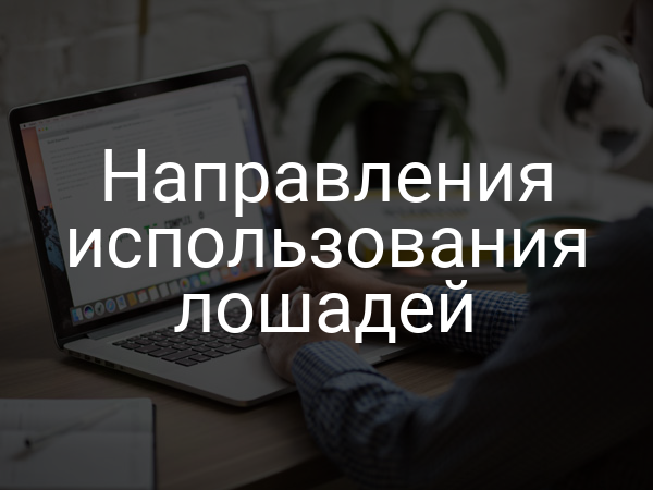 Направления использования лошадей