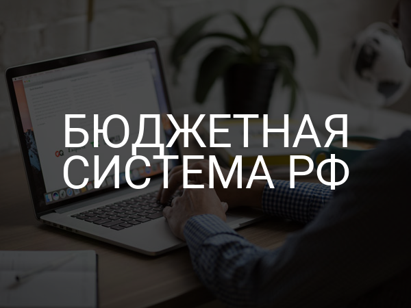 Бюджетная система РФ