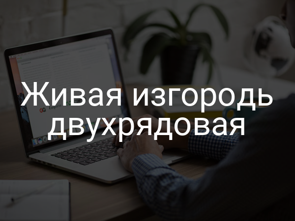 Живая изгородь двухрядовая