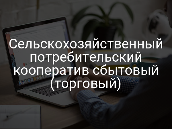 Сельскохозяйственный потребительский кооператив сбытовый (торговый)