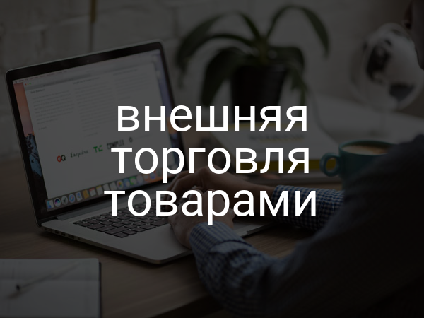 Внешняя торговля товарами
