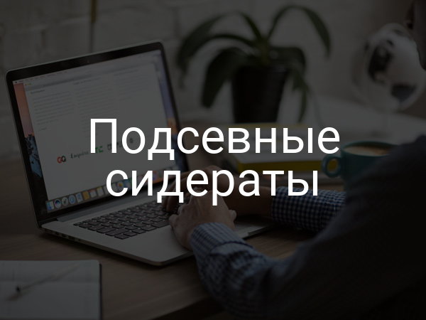 Подсевные сидераты