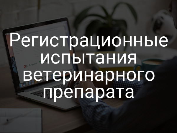 Регистрационные испытания ветеринарного препарата