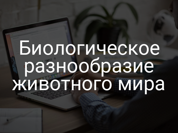 Биологическое разнообразие животного мира