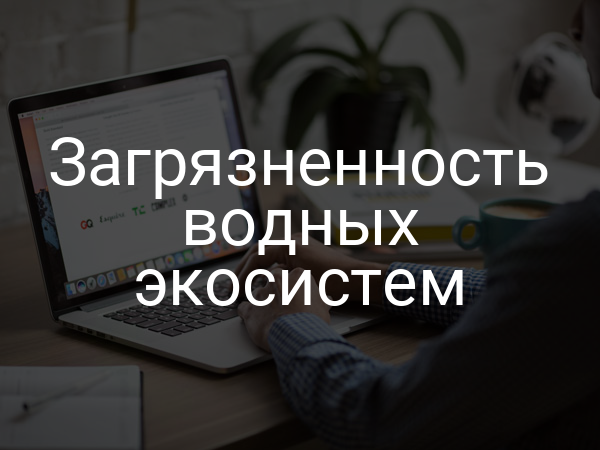 Загрязненность водных экосистем