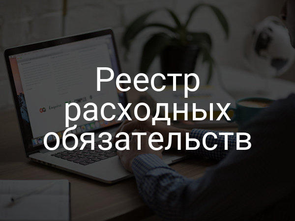 Реестр расходных обязательств