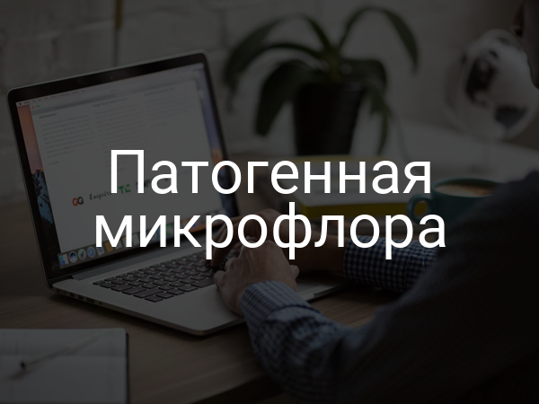 Патогенная микрофлора