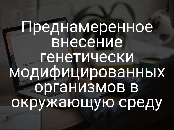 Преднамеренное внесение генетически модифицированных организмов в окружающую среду