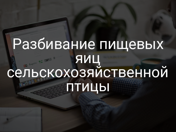 Разбивание пищевых яиц сельскохозяйственной птицы