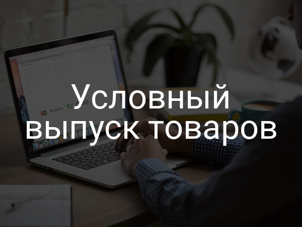 Условный выпуск товаров