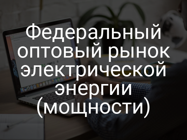 Федеральный оптовый рынок электрической энергии (мощности)