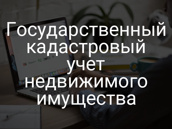 Государственный кадастровый учет недвижимого имущества