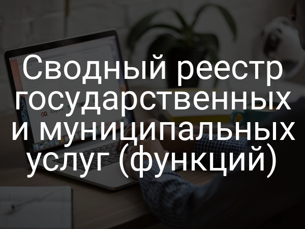 Сводный реестр государственных и муниципальных услуг (функций)