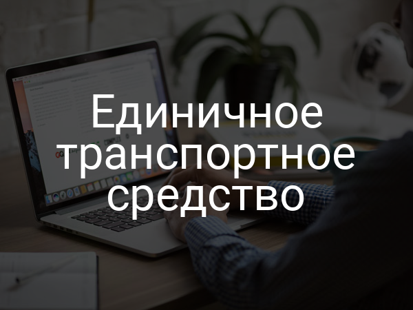 Единичное транспортное средство