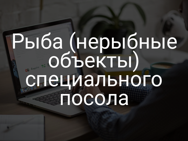 Рыба (нерыбные объекты) специального посола