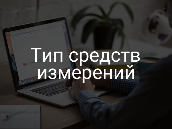 Тип средств измерений