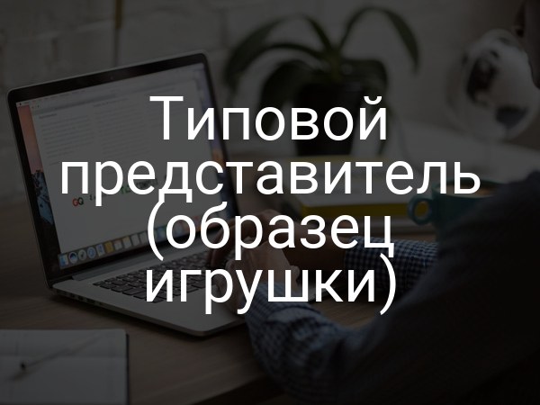 Типовой представитель (образец игрушки)