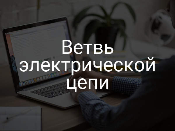 Ветвь электрической цепи