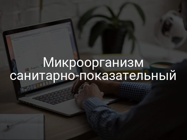Микроорганизм санитарно-показательный